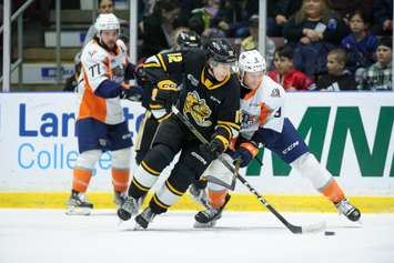 The Sarnia Sting taking on the Flint Firebirds. 20 February 2023. (Metcalfe Photography)