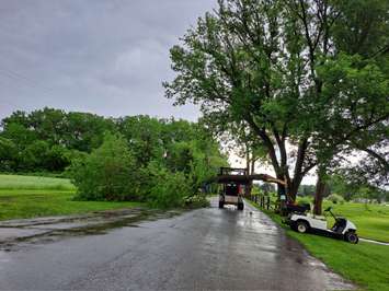 Storm damage in Chatham. June 1, 2022. Photo by Paul Pedro