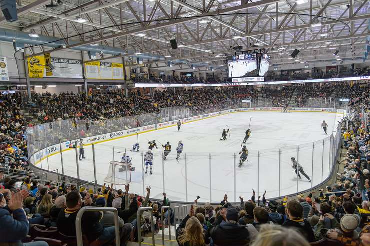 Sarnia Sting home to Sudbury, Jan 18, 2025. Photo by Metcalfe Photography. 