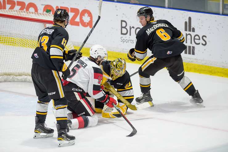 Sarnia Sting at home to the Ottawa 67's February 2, 2024. Photo by Metcalfe Photography. 