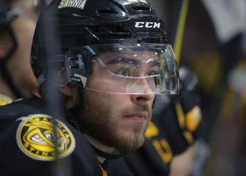 Curtis Egert watches from the bench in Sarnia's 5-1 win over London. February 3, 2018. (Photo courtesy of Metcalfe Photography)