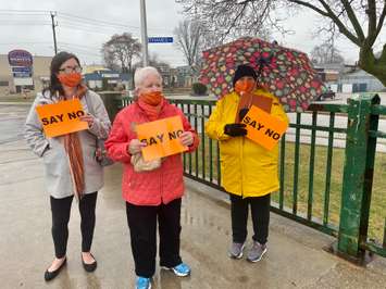 Zonta Club Rally on the Bridge in Chatham on November 25, 2020 (Photo by Allanah Wills)