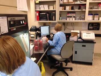 Staff at the medical lab of the CKHA examine samples Apr 23 2015 (Photo by Simon Crouch) 