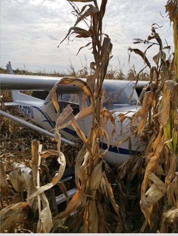 Pilot escapes injury after being forced to make an emergency landing east of Sarnia Thursday night. October 27, 2017 (Photo submitted to Blackburn News Sarnia)