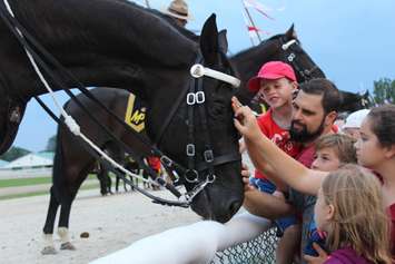 During the meet and greet at the 2016 RCMP Musical Ride at the Dresden raceway. August 24, 2016. (Photo by Natalia Vega)