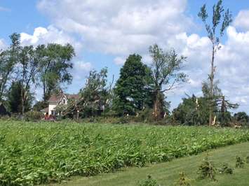 House north of the OPP station in Teviotdale buried under debris. (Photo by Steve Sabourin)