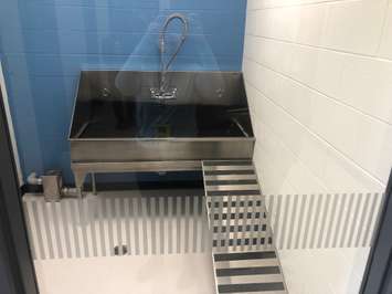 Inside the new animal shelter in Chatham. May 23, 2019. (Photo courtesy of Sophie Marvell and Kiana Mailloux)