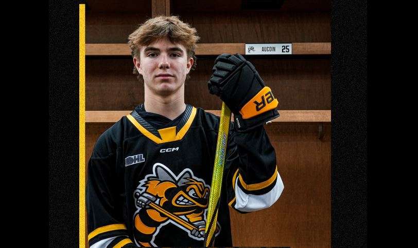 Sting add more size to blueline