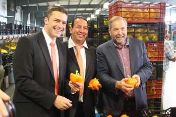 NDP Leader Tom Mulcair visits a pepper farm in Chatham-Kent, July 22, 2015. (Photo by Mike Vlasveld)