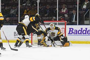 The Sarnia Sting host the Hamilton Bulldogs. 15 March 2023. (Metcalfe Photography)