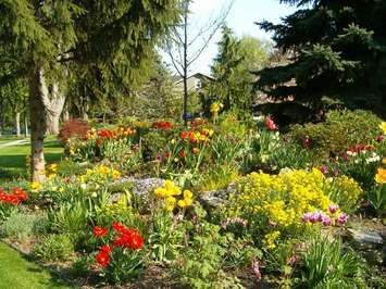 Flowerbed in Chatham. (Photo courtesy of CKbranding.com)