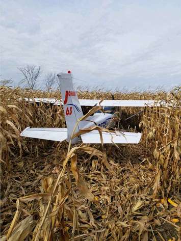 Pilot escapes injury after being forced to make an emergency landing east of Sarnia Thursday night. October 27, 2017 (Photo submitted to Blackburn News Sarnia)