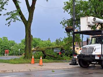Storm damage in Chatham. June 1, 2022. Photo by Paul Pedro