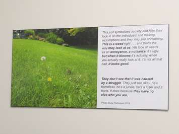 Artwork and quotes from Carepoint clients. Photo by Miranda Chant, Blackburn Media)