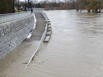 Flooding in Harris Park, February 21, 2018. (Photo by Miranda Chant, Blackburn News) 