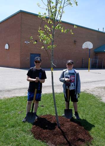 Students stand beside one of eleven newly planted trees at Sir John Moore Community School in Corunna as part of the Tomorrow’s Greener Schools Today – Lambton program. Submitted photo.