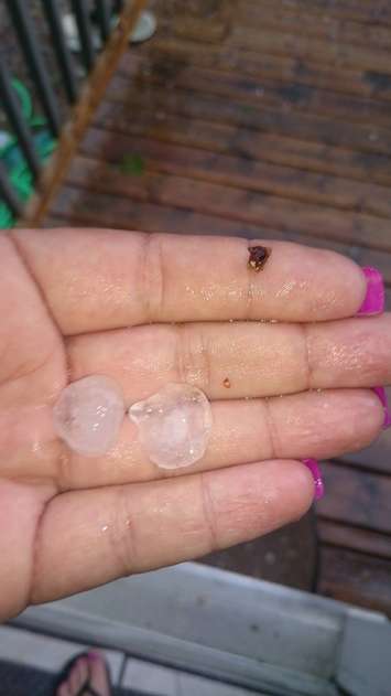 Hail in the Murphy Rd. and Lakeshore Rd. area during May 29, 2016 thunderstorm.  Photo submitted by Natasha Langille.