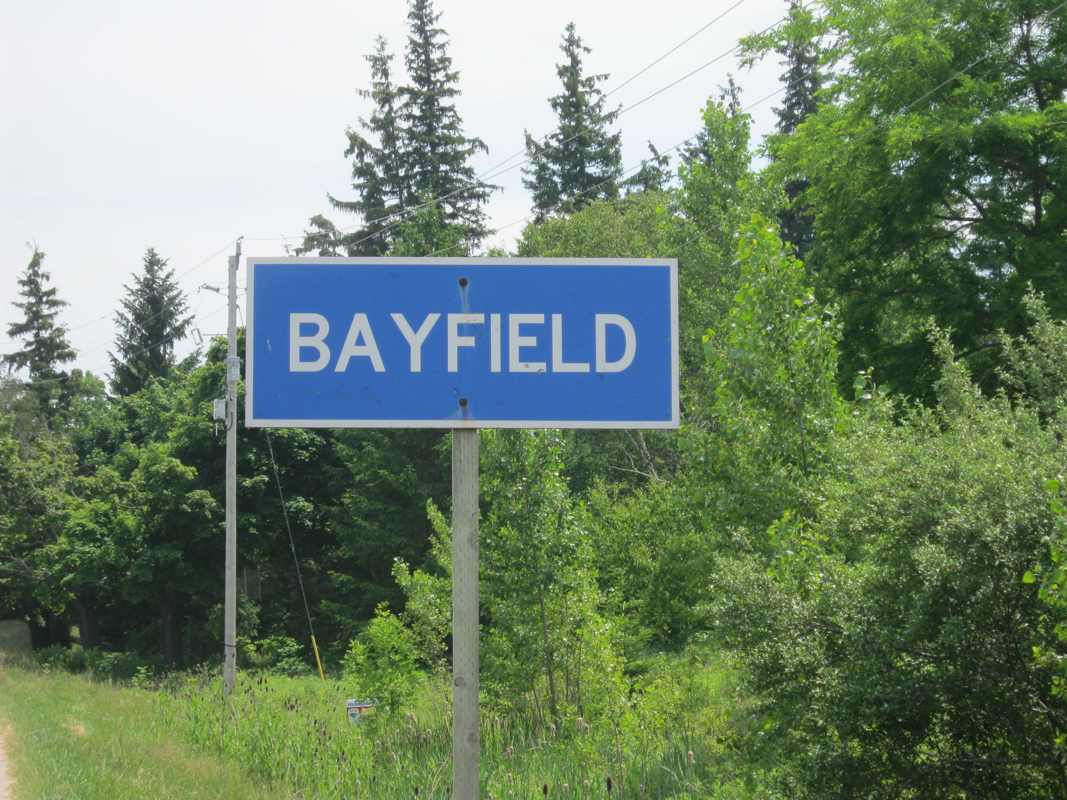 Microburst behind tree damage in Bayfield