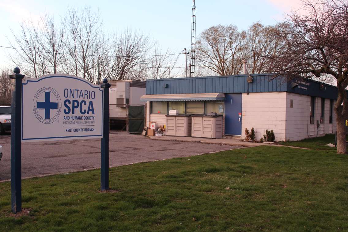 The Kent County OSPCA, April 11, 2016 (Photo by Jake Kislinsky)