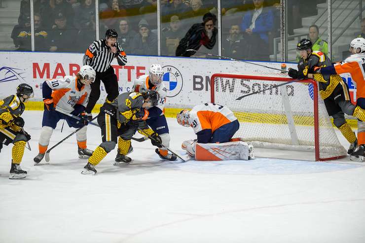 Sarnia Sting host the Flint Firebirds on February 17, 2024 (supplied by: Metcalfe Photography).