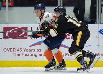The Sarnia Sting beat the Flint Firebirds 7-1 led by 2 goals and an assist from Sean Josling. January 6, 2018. (Photo courtesy of Metcalfe Photography)