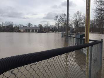 Flooding at Alexandra Park in Strathroy. February 21, 2018 (Photo by Melanie Irwin)