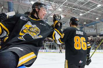 The Sarnia Sting hosting the London Knights.  20 March 2022.  (Metcalfe Photography)