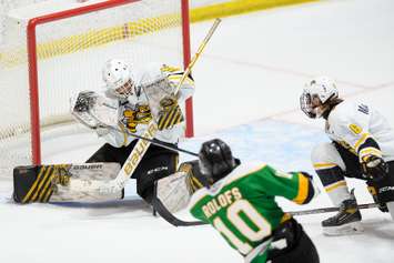 The Sting taking on the Knights in a preseason game from Sarnia.  4 September 2021.  (Photo by Metcalfe Photography)