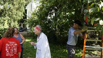 Jessie Rabbitt speaks with volunteer Barb Bodkin and her daughter Mary while volunteer Haris Mulalic prepares to trim a tree. September 11, 2018. (Photo by Colin Gowdy, BlackburnNews)