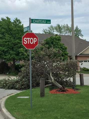 Storm damage shown in east Windsor, June 1, 2022. Photo by Matt Franklin.