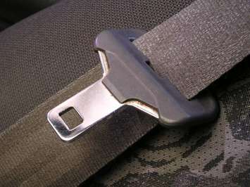 Seat Belt (Photo courtesy of morguefile.com)