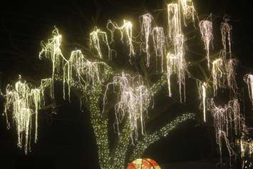 Bright Lights Windsor, Jackson Park, December 6, 2019. Photo by Mark Brown/Blackburn News.