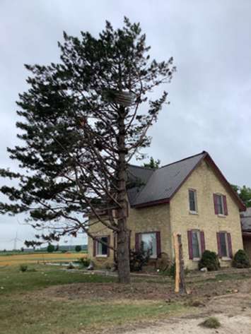 Damage caused by an EF1 tornado in the Lambton Shores area, July 19, 2020. (Photo courtesy of the Northern Tornadoes Project via Twitter)