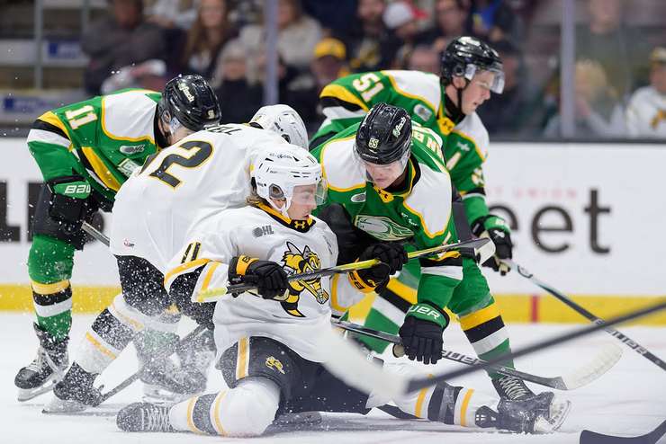 London Knights at Sarnia Sting, October 26, 2025. Photo by Metcalfe Photography. 