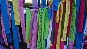 World Suicide Prevention Day at Canatara bandshell. September 10, 2015 (BlackburnNews.com Photo by Briana Carnegie)