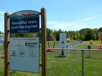Part of the leash-free dog park on Grant Street in Meaford. 
(Photo by James Armstrong)