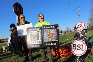 Protesters outside the Chatham-Kent Provincial Offences Courhouse, November 3, 2016 (Photo by Jake Kislinsky)