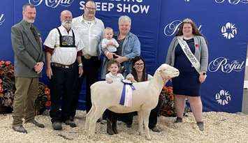 Kay winning Reserve Champion (L to R in back: Rejean Girard (judge), Gary Brien, Lee Brien, Luanne Brien holding Madison Case, Rihanna Gallagher (Royal Sheep and Wool Ambassador); front: Evelyn Case, Sarah Case (Image courtesy of Brien Sheep)
