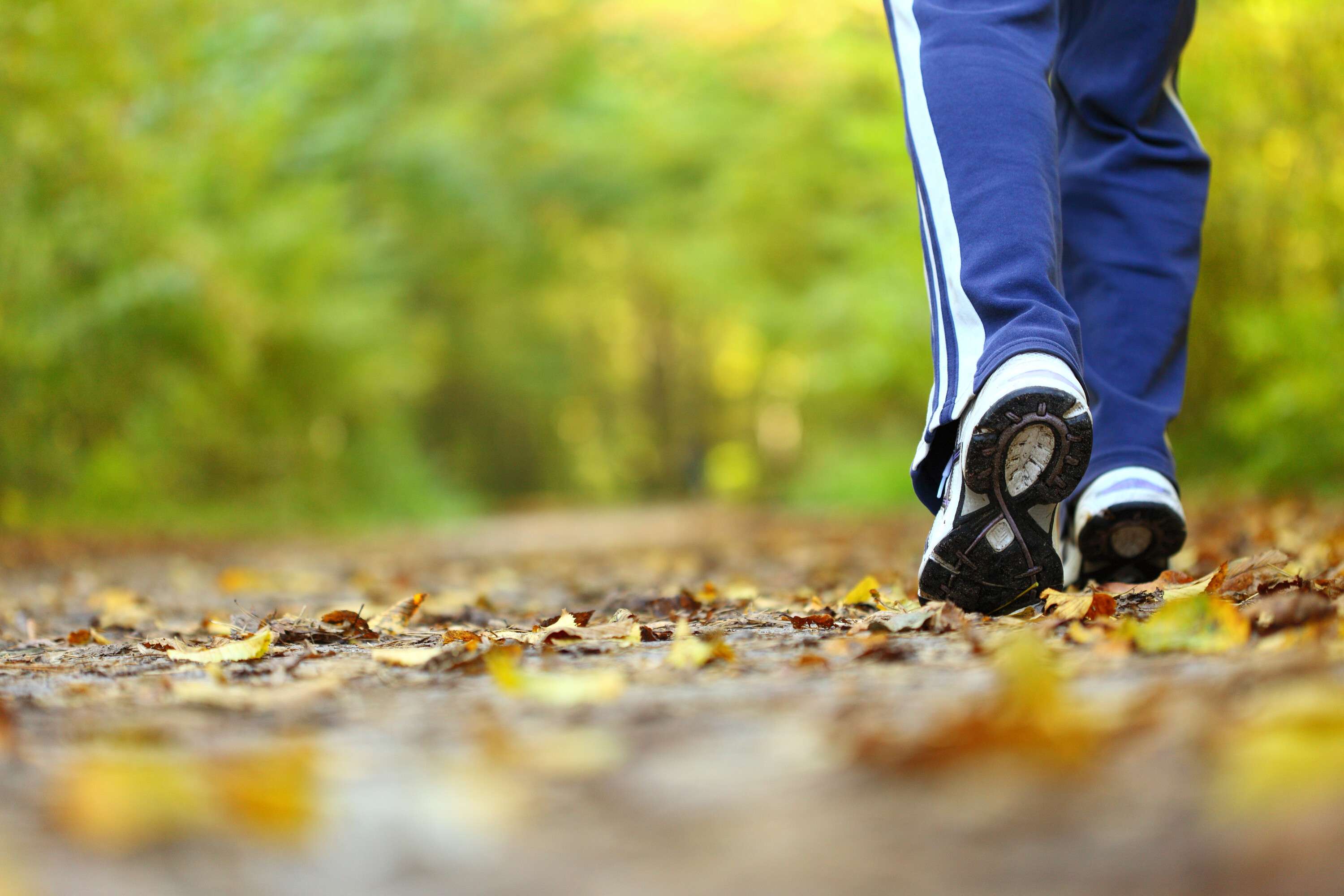 Maitland Valley Conservation Authority to host 75-Minute Hiking Challenge
