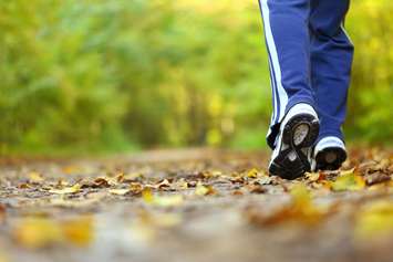 Woman walking cross country and trail in autumn forest.  © Can Stock Photo / Anetlanda