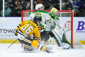 The Sarnia Sting taking on the London Knights. 18 February 2023. (Metcalfe Photography)