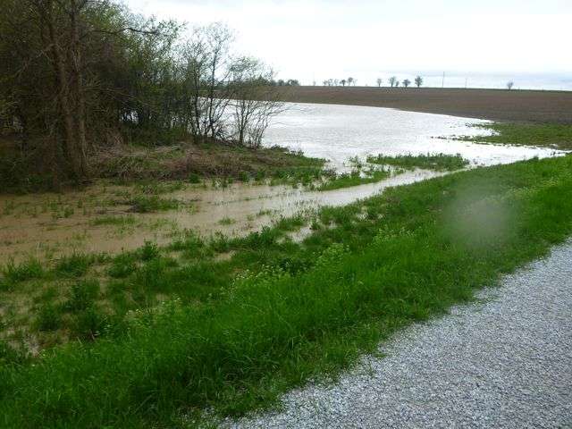 Conservation authority monitoring watershed conditions