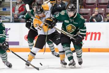 The London Knights take on the Sarnia Sting, December 31, 2014. (Photo courtesy of Metcalfe Photography)