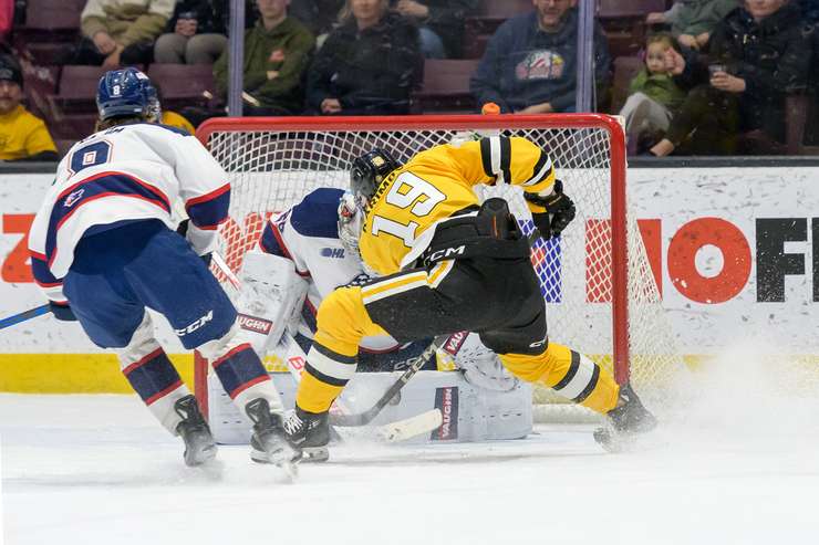 Saginaw at Sarnia Sting, February 17, 2025. Photo by Metcalfe Photography. 