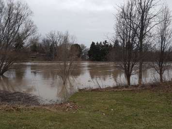 Fast moving water on the Thames River at Grand Ave. W. in Chatham. February 24, 2018. (Photo by Natalia Vega, Blackburn News.)