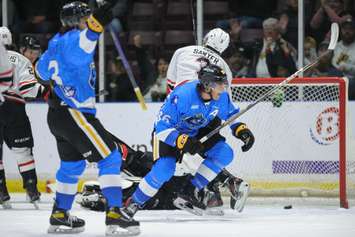 The Sarnia Sting taking on the Owen Sound Attack on Lions Night @ The Sting.  12 October 2022. (Metcalfe Photography) 