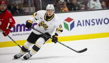 Ruslan Karimov of the Sarnia Sting. Photo by Natalie Shaver/OHL Images