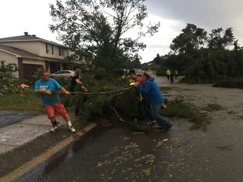 The aftermath of a tornado that touched down in the Ottawa area, September 21, 2018. (Photo courtesy of Heather Badenoch via Twitter)  