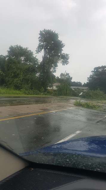 A tree is seen down across Front Rd. near the railroad tracks on August 6, 2018. Photo provided by Tracy Ward/Facebook. Used with permission.