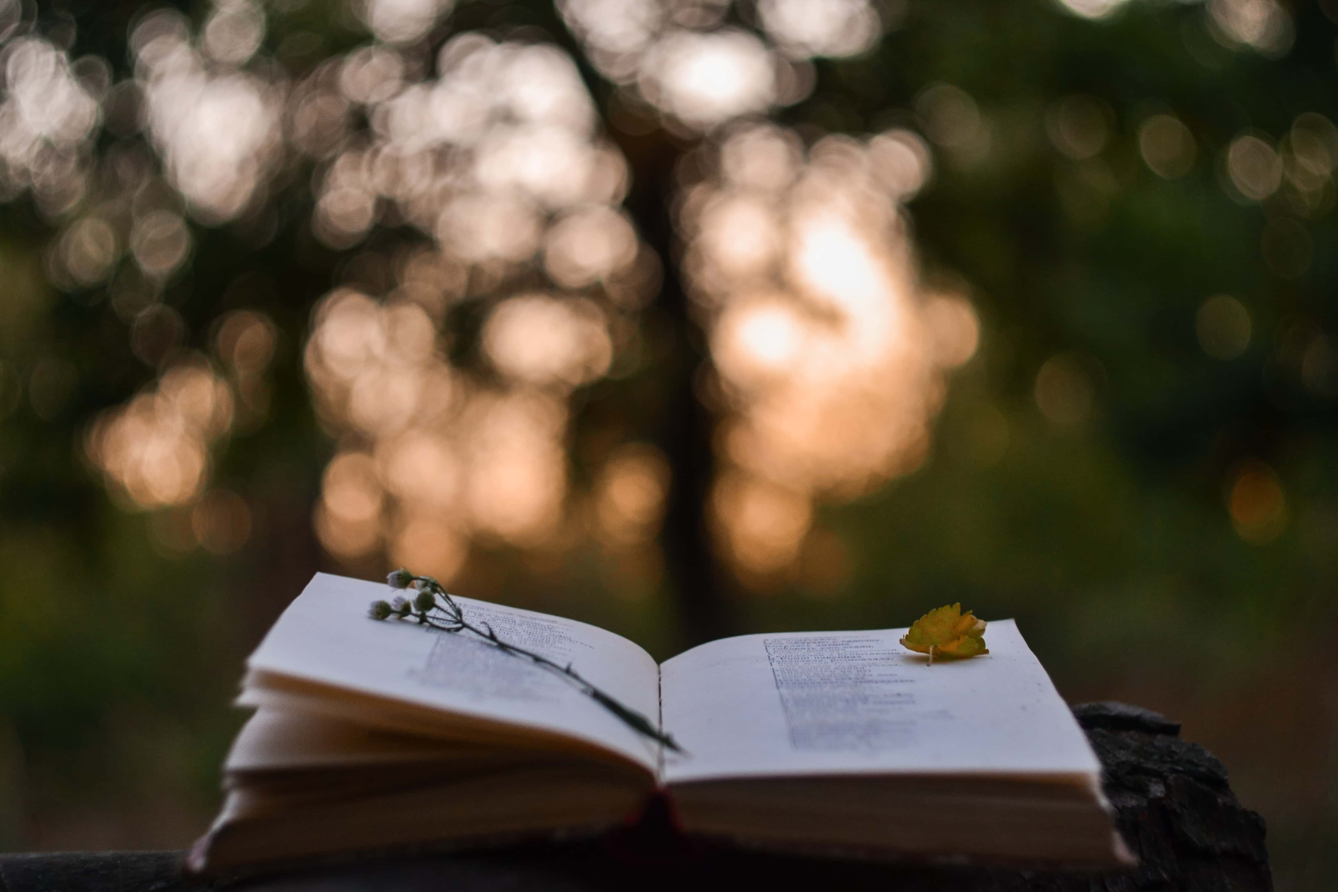 Roots Through Stone: New Perth County poetry anthology celebrates ...